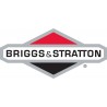 Briggs&Stratton